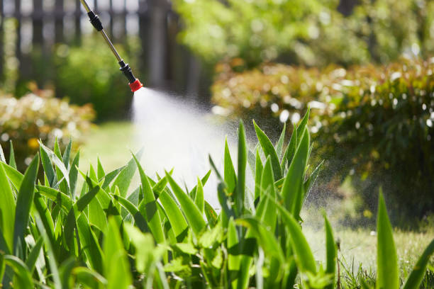 Tamper-Resistant Bait Stations for Rodents in Flora