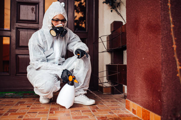 Attic and Crawl Space Rodent Treatment in Flora