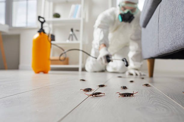 Commercial Rodent Management in Flora